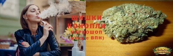гидропоника Горняк