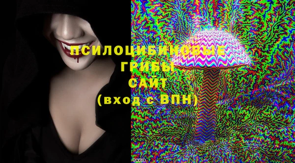 гидропоника Горняк