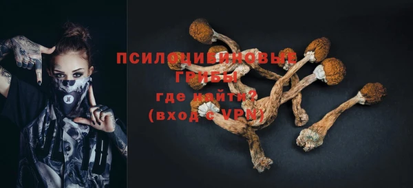 гидропоника Горняк