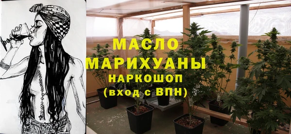 гидропоника Горняк