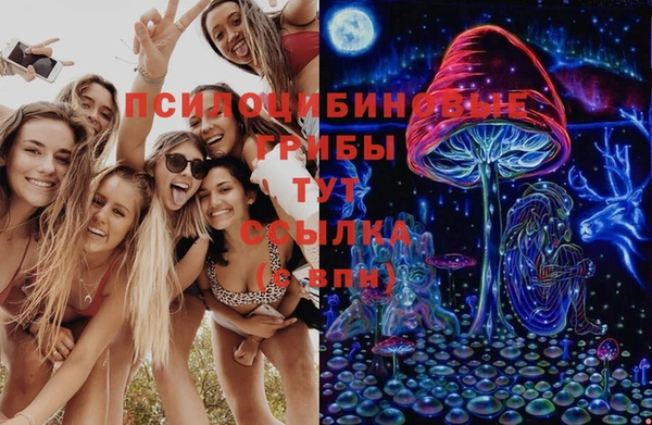 мескалин Горнозаводск