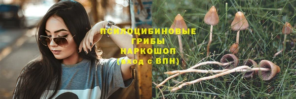 мескалин Горнозаводск